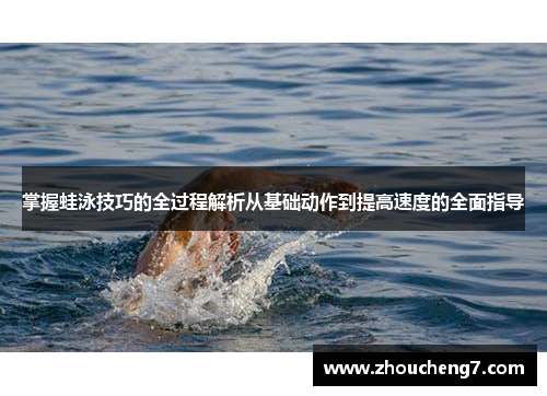 掌握蛙泳技巧的全过程解析从基础动作到提高速度的全面指导